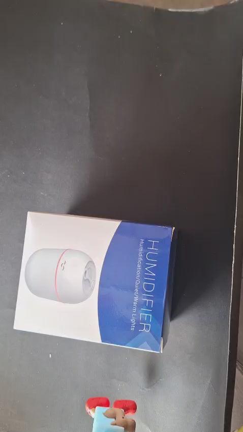 Portable humidifier
